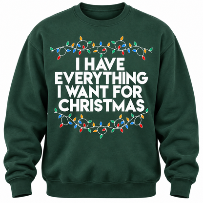 Christmas Funny Couple T Shirt | I Have Everything - I'm Everything