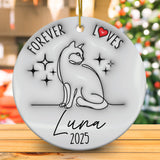 Personalized Cat Memorial Custom 3D Inflated Effect Ornament