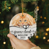 Personalized Cat Memorial Ornaments 3D Inflated Effect, Personalized Photo Christmas