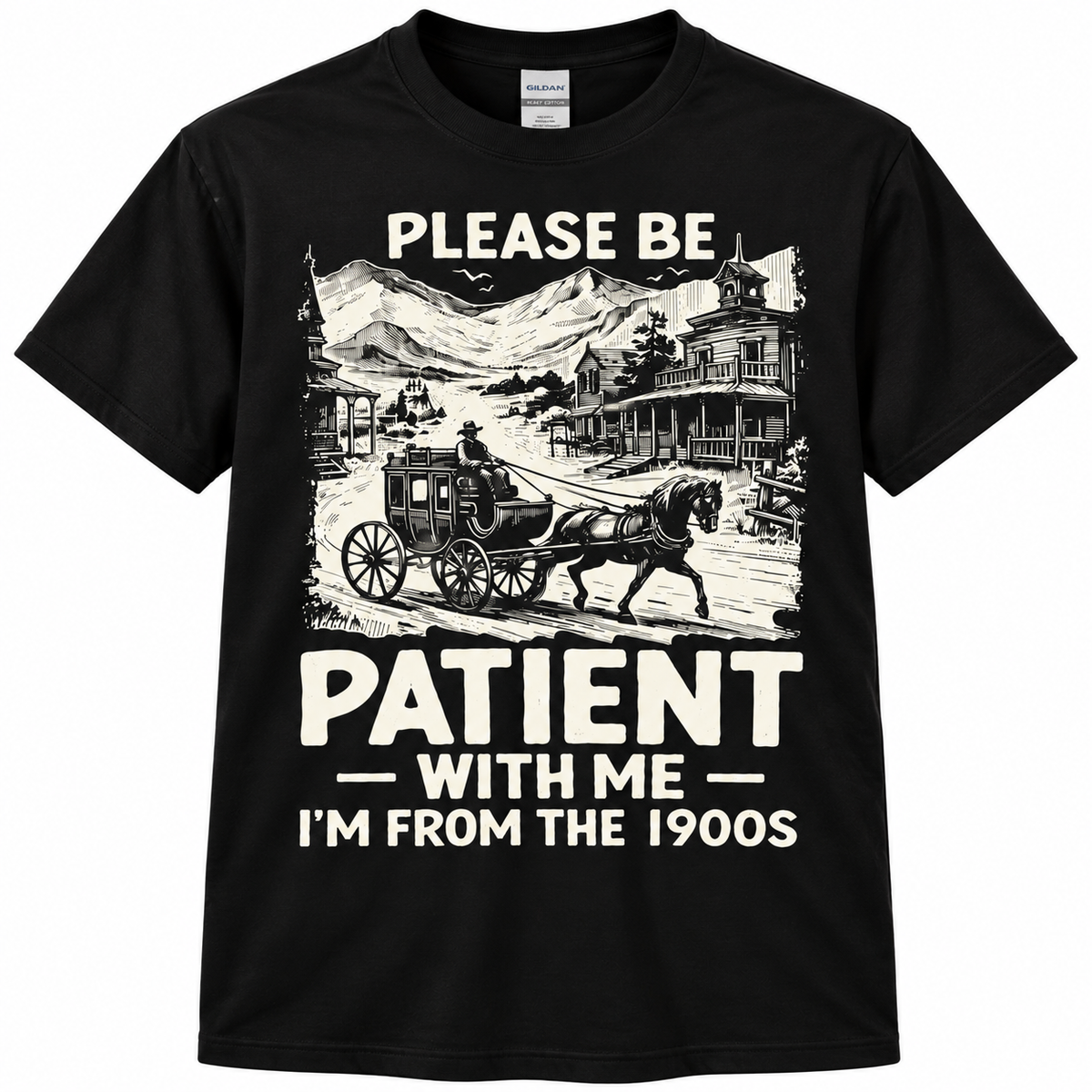 Please Be Patient Funny T Shirt