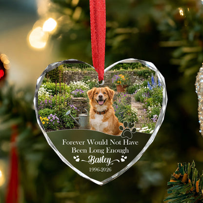 Forever Pet Dog Cat Custom Image Name Glass Xmas Ornament 2026